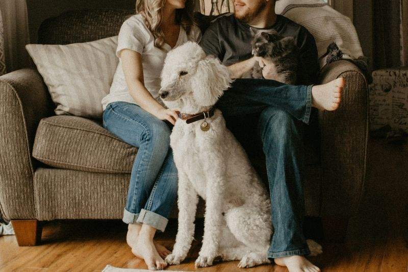 初めてのトリミングで大切にしたいこと